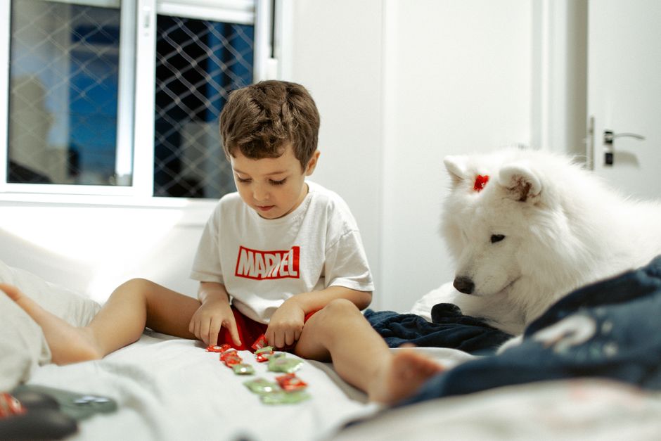 Best Dog Puzzle Toys for Bored Dogs: Complete Buyer's Guide
