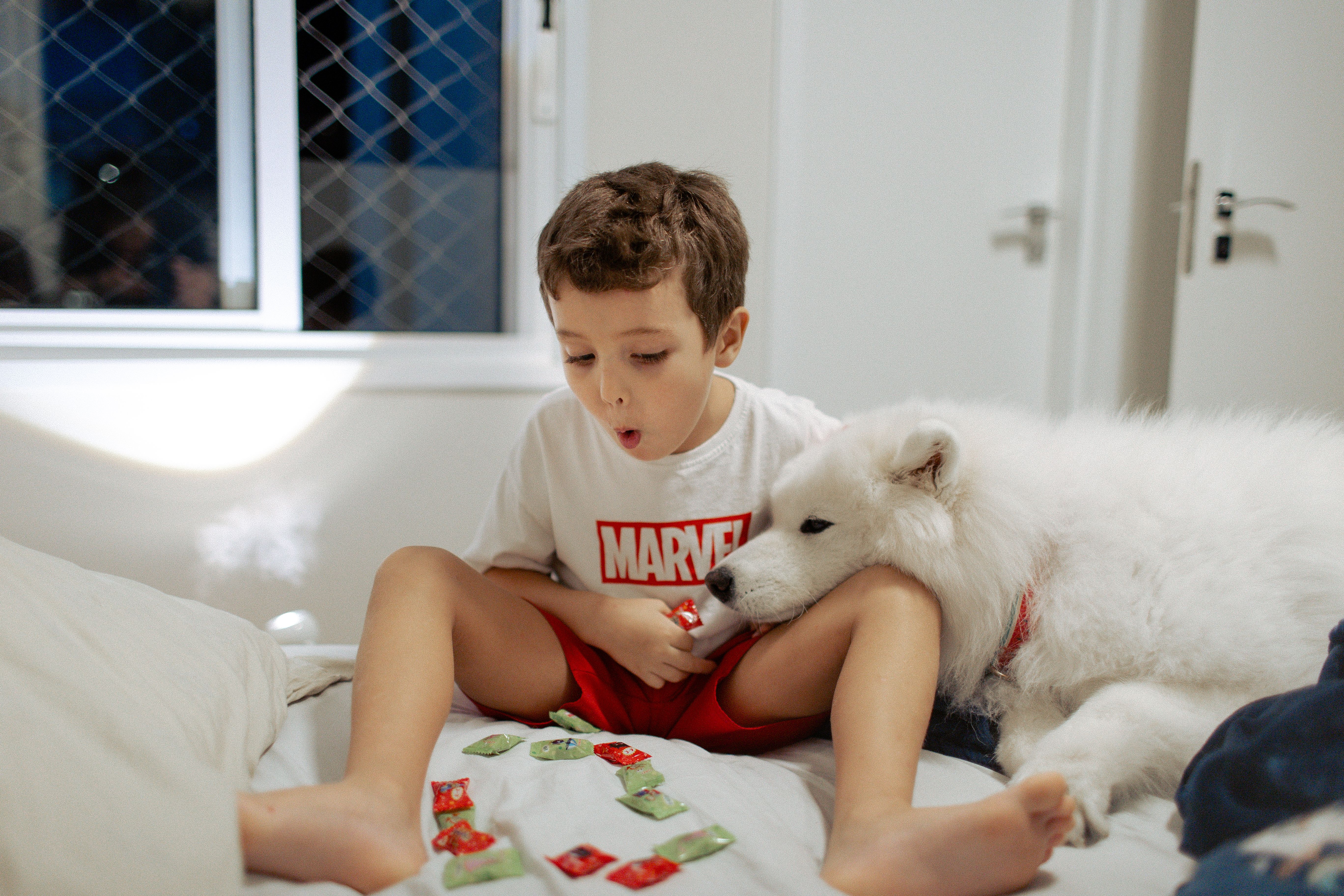 10 Most Family-Friendly Dog Breeds for Kids