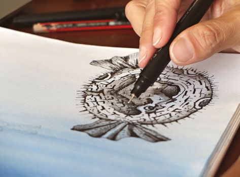 A person skillfully drawing a pufferfish illustration with fine details using a pen.