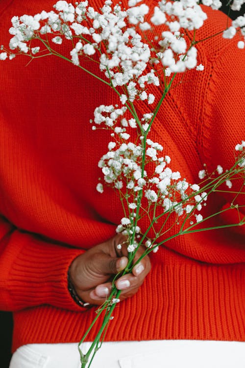 Back view of faceless ethnic woman in vivid red knitwear holding branch of baby breath flower behind back