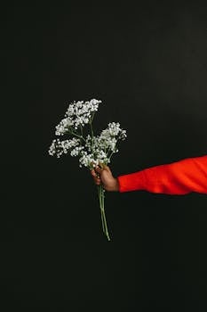 一只手握着精致的婴儿呼吸花束，在黑色背景的映衬下，营造出极简而优雅的构图