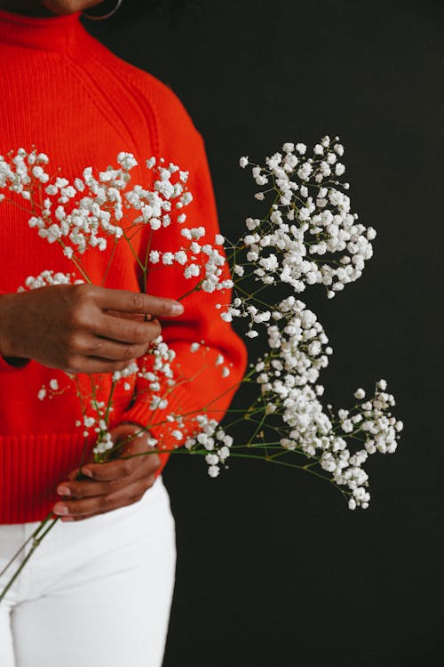 Free Person in Red Long Sleeve Shirt Holding White Flowers Stock Photo