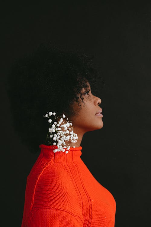 Ingyenes stockfotó afro haj, afro-amerikai nő, álló kép témában