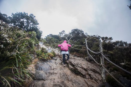 Mt Kinabalu summit climb (2 days) — Borneo