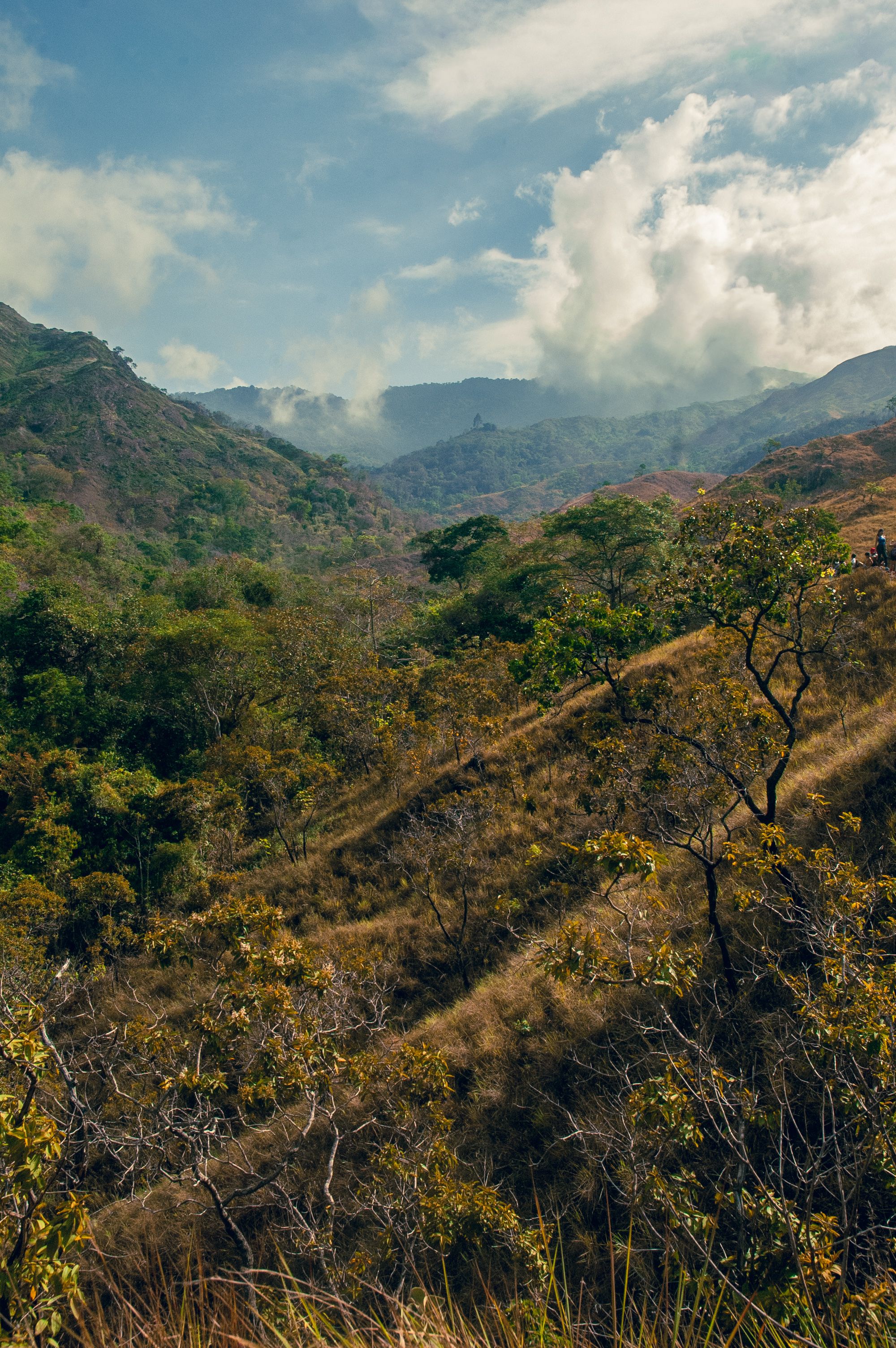Beautiful mountain scene with dense foliage and dramatic clouds, ideal for nature themes.