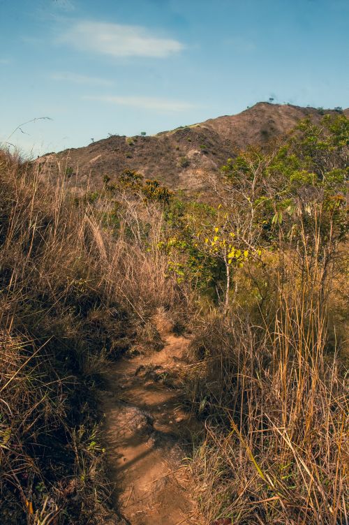 Free Tranquil mountain path winding through the dry autumn wilderness under a clear blue sky. Stock Photo