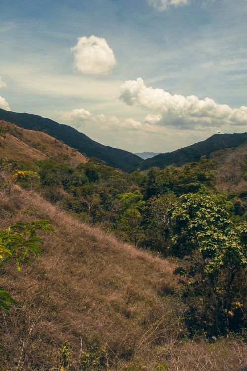 Free Expansive view of a mountain valley with lush greenery under a cloudy sky, ideal for nature lovers. Stock Photo