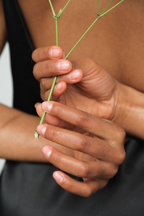 Free Intimate close-up of hands gently holding a delicate green stem, showcasing natural beauty and human connection. Stock Photo