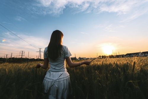 Free A woman stands in a wheat field, experiencing the serenity of a beautiful sunset. Stock Photo