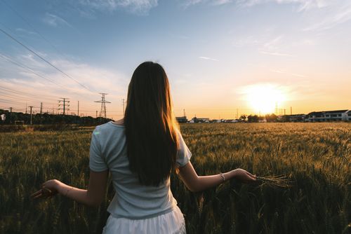 Free A woman stands in a wheat field during sunset, embracing the natural beauty of the landscape. Stock Photo