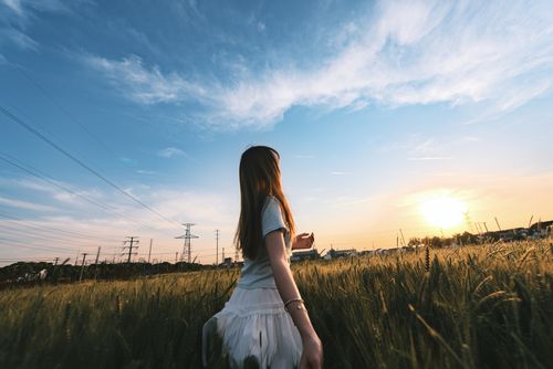 Free A young woman stands in a field at sunrise, under a bright sky with power lines in view. Stock Photo