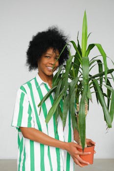 一位快乐的女人微笑着，在灰色的背景下拿着一棵绿色的大盆栽