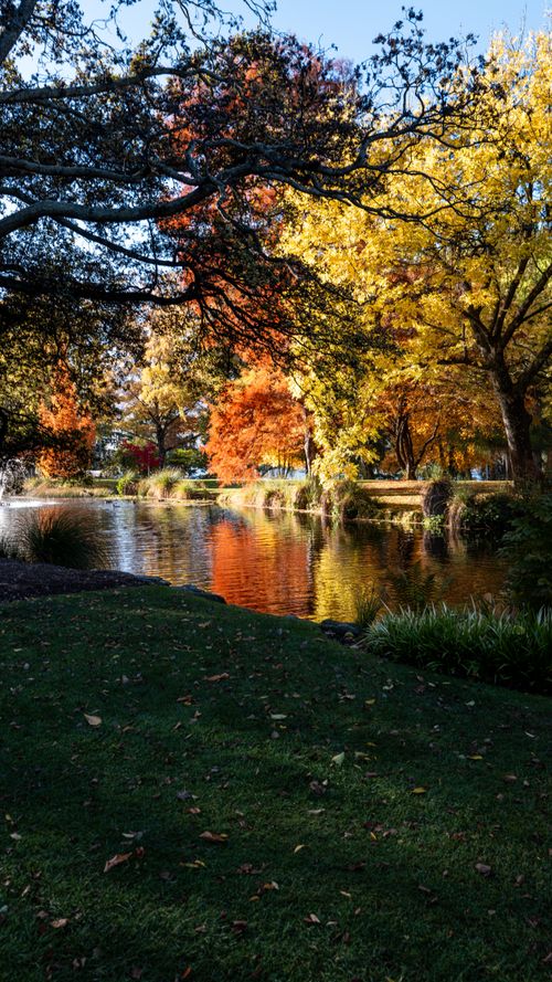 Free A peaceful autumn scene with colorful trees reflecting in a tranquil pond. Stock Photo