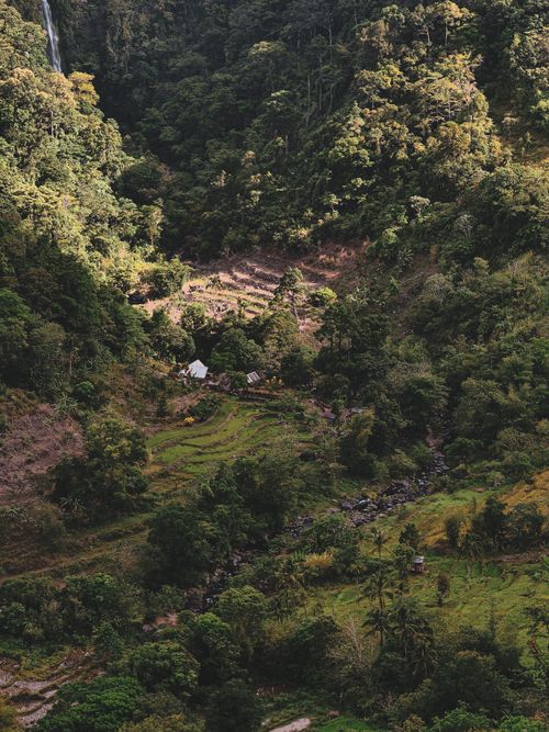 Free Aerial view of a lush valley with terraced fields and dense forests in Western Visayas, Philippines. Stock Photo