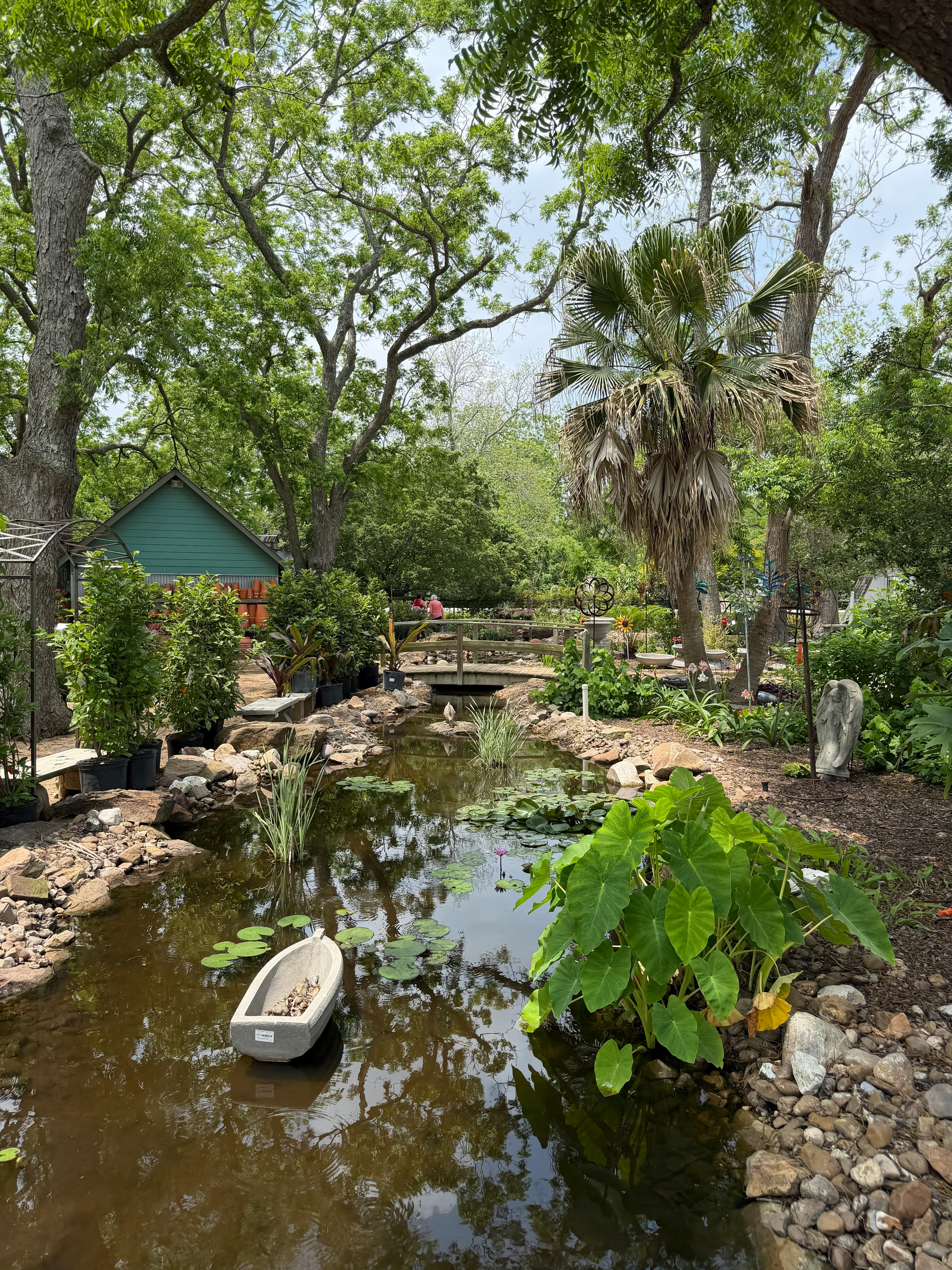 Lush botanical garden featuring a tranquil pond with lush greenery and a small boat.