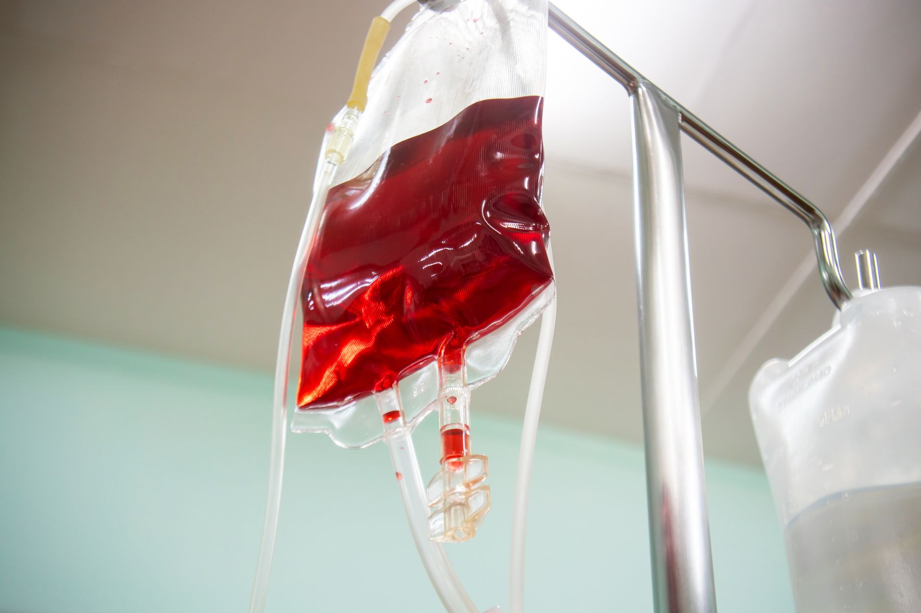 10 Foods That Lower Blood Pressure Naturally
