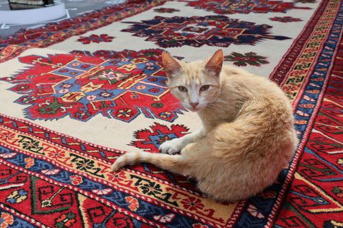 Free A ginger cat lounges on an intricately patterned red and blue rug outdoors. Stock Photo