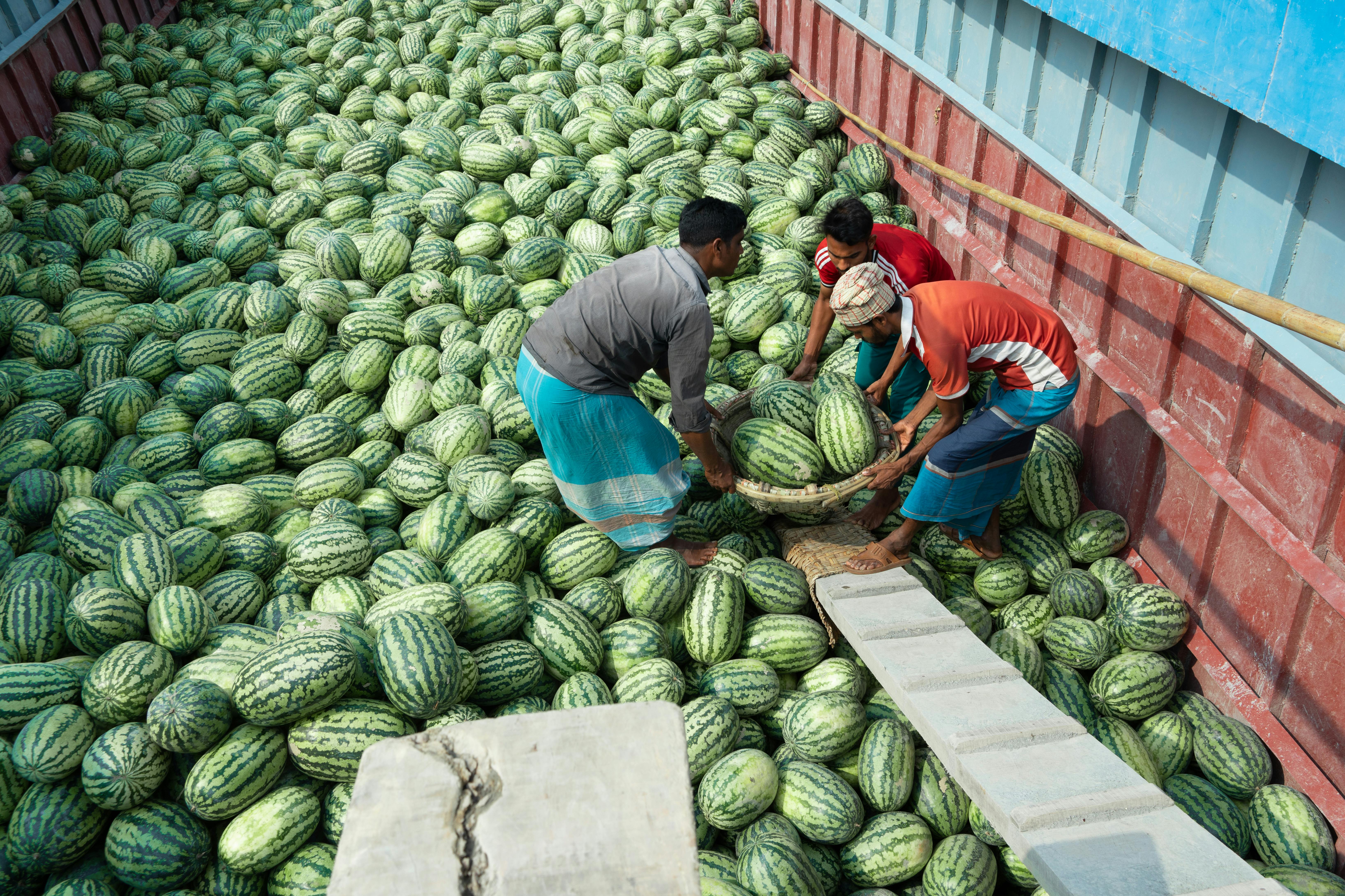 Ethiopia’s State Investor Eyes Russia for Strategic Supplies