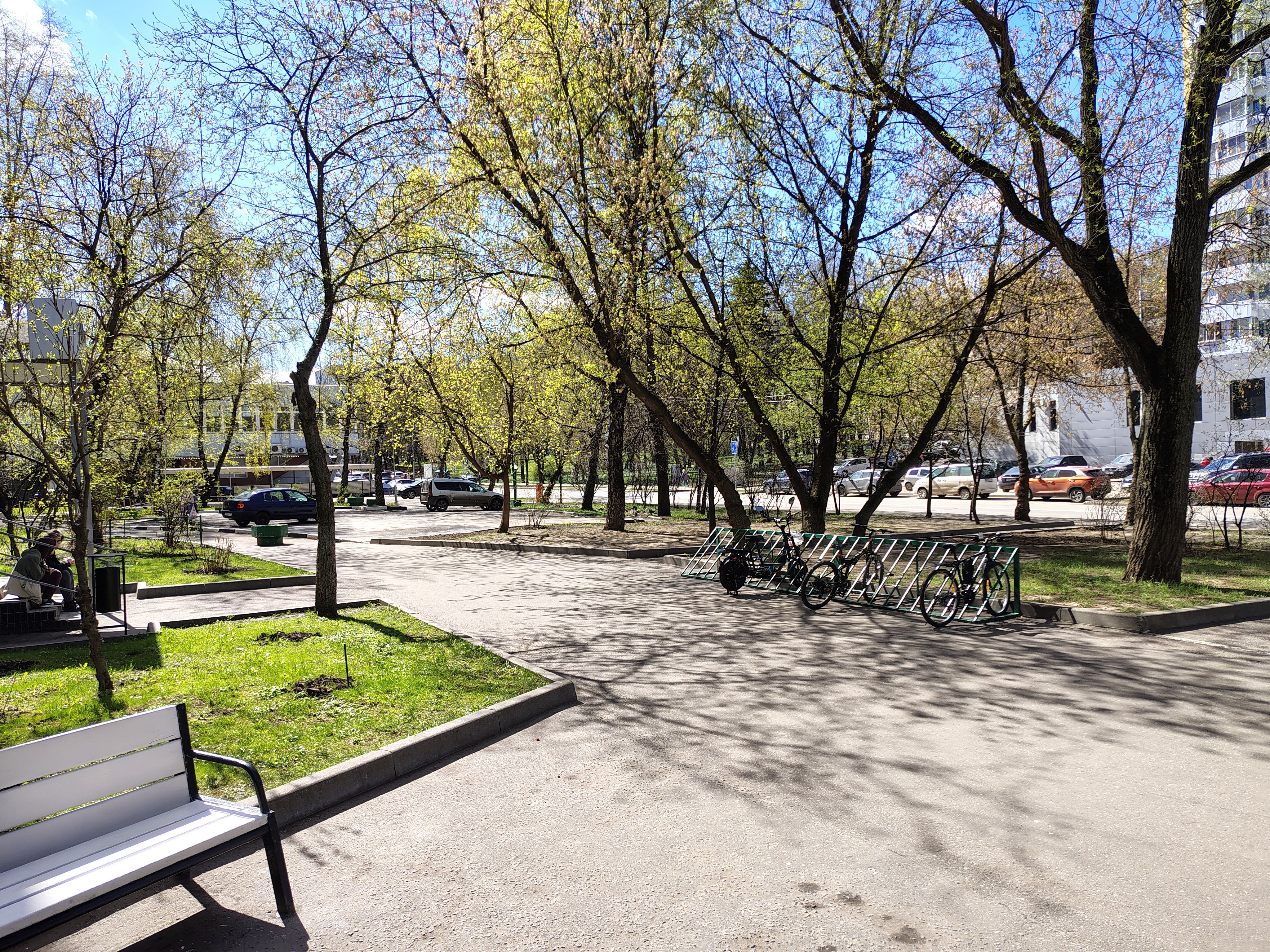 The ultimate outdoor workout: all you need is a park bench — Photo by Abdullah Miraz on Pexels