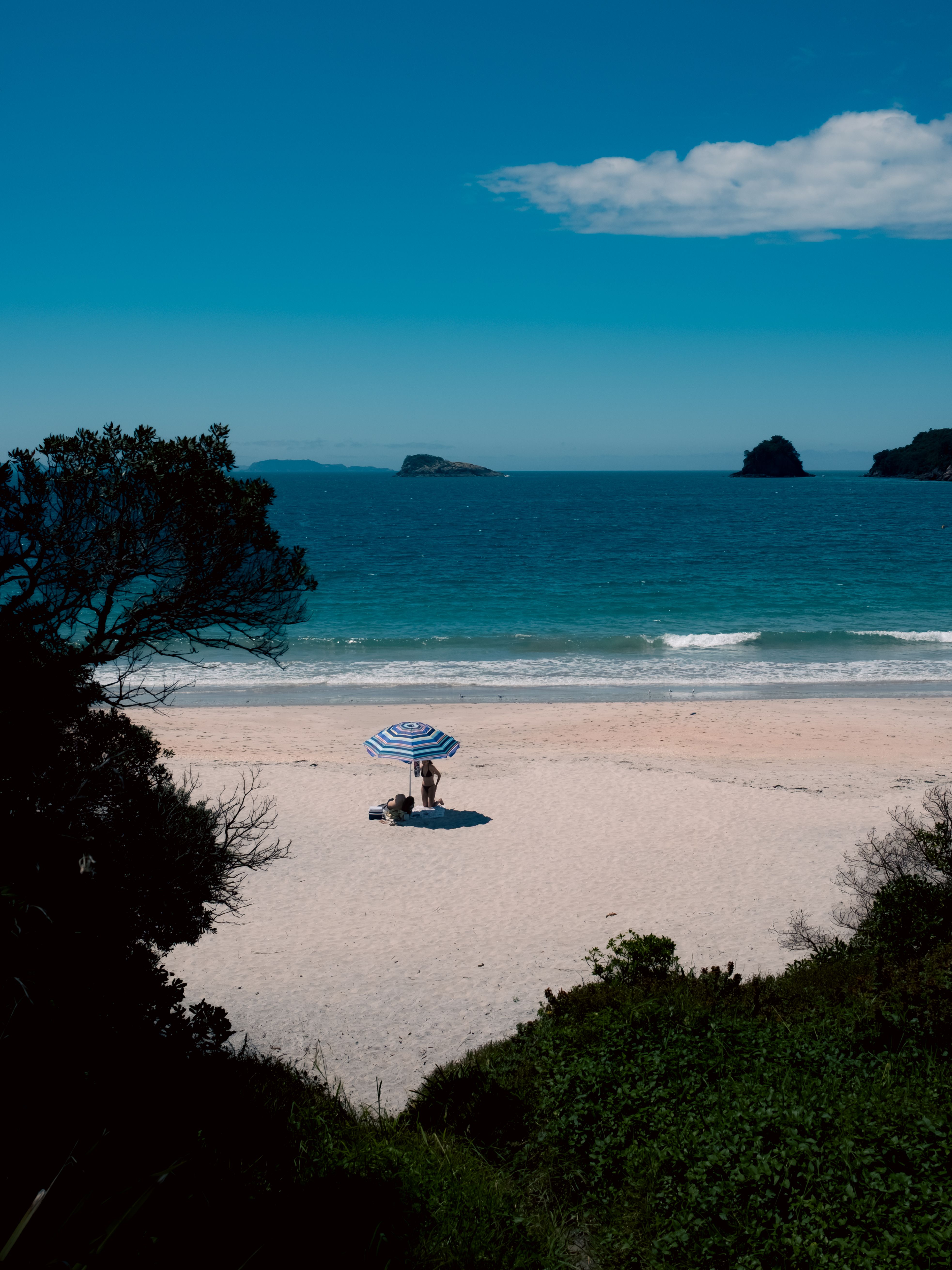 Relaxing beach scene at Hahei, New Zealand with clear skies and turquoise sea.
