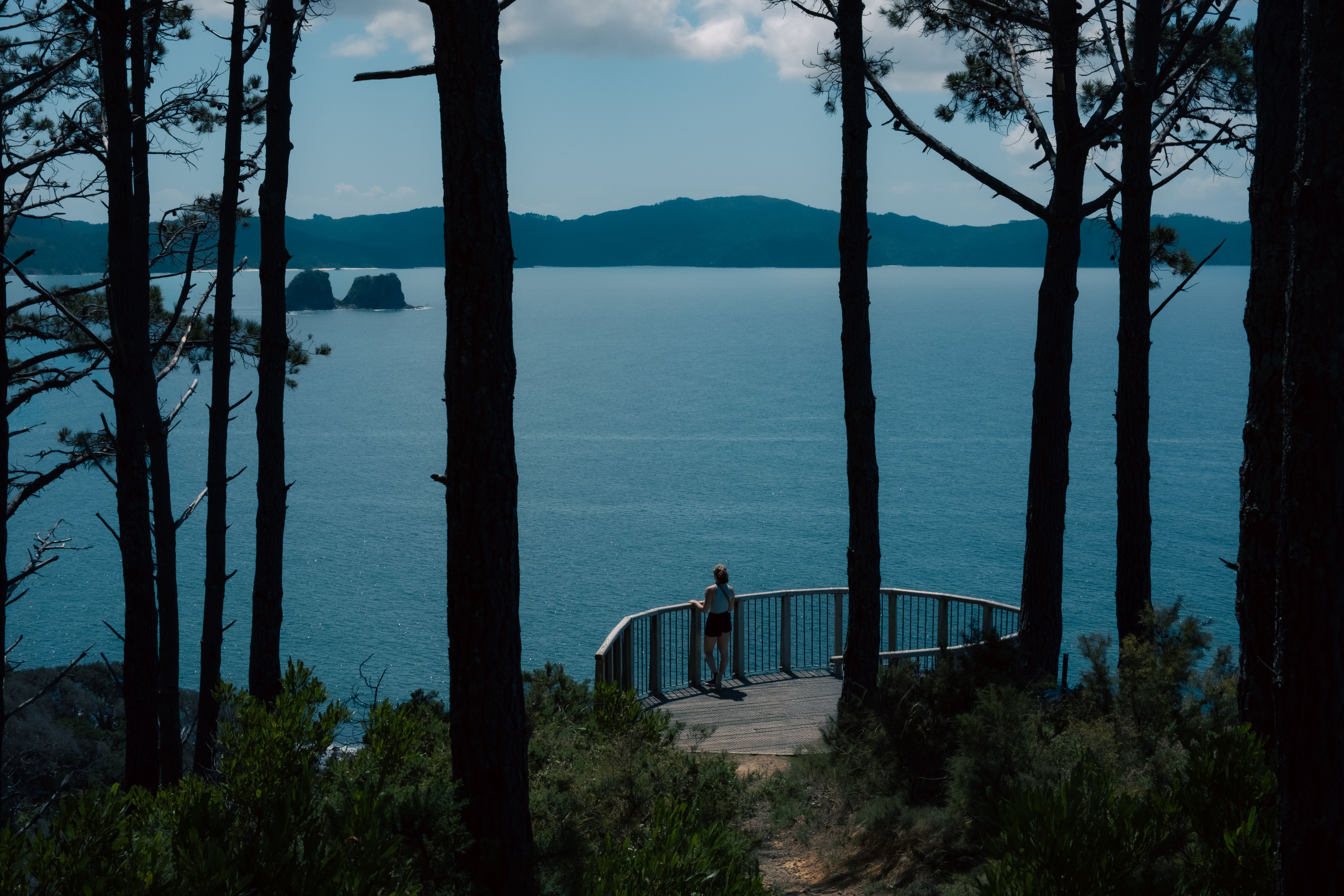 A lone hiker enjoys a scenic view from Hahei Beach overlooking the Pacific Ocean in New Zealand.