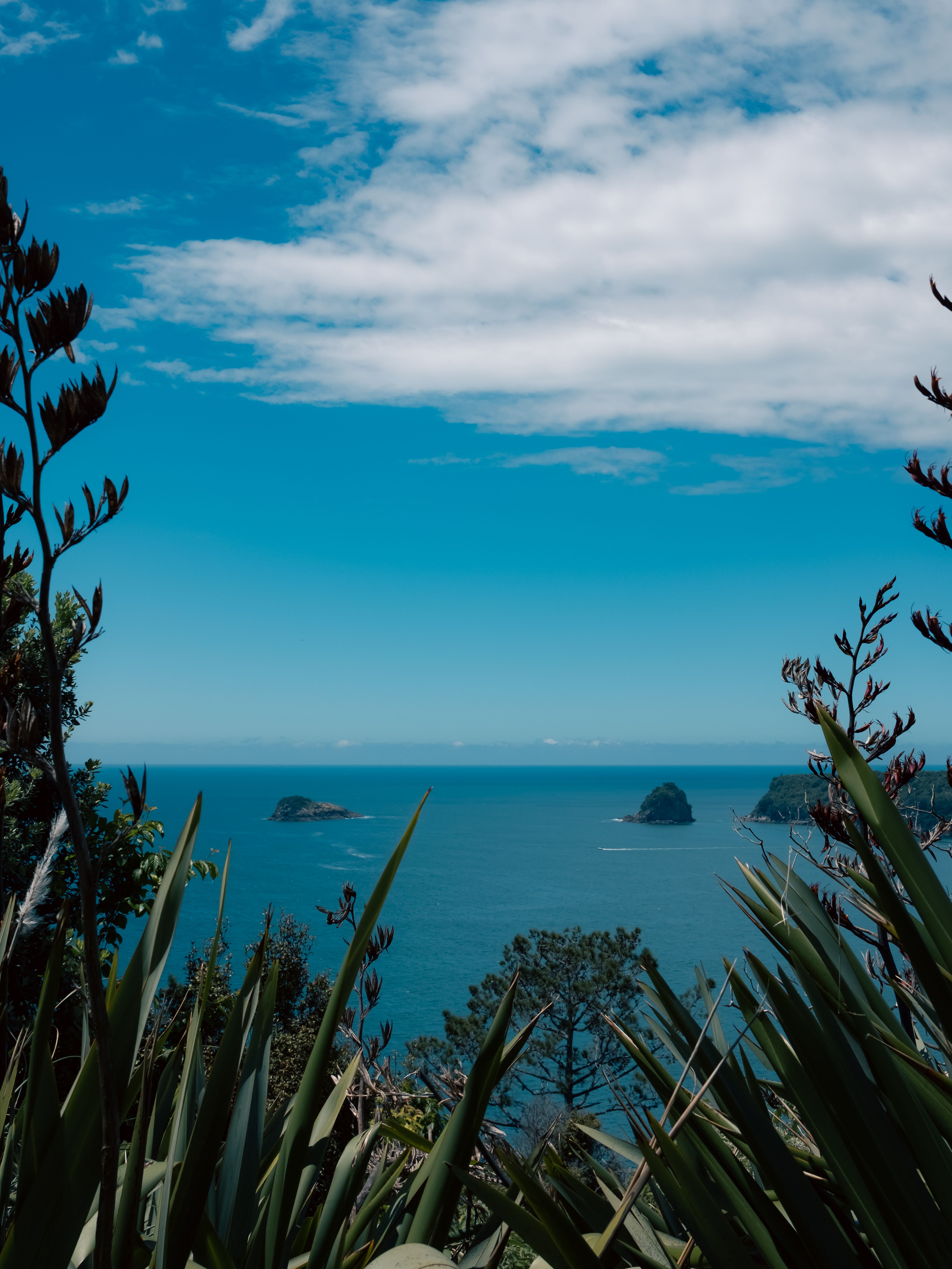 Serene ocean view from Hahei, New Zealand, with lush vegetation and tranquil waters.