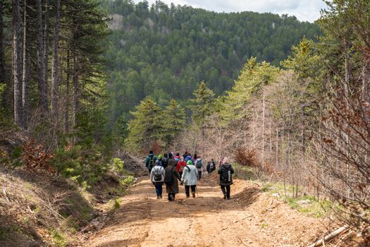 A group of hikers walks a forest trail, surrounded by lush greenery and trees in springtime.