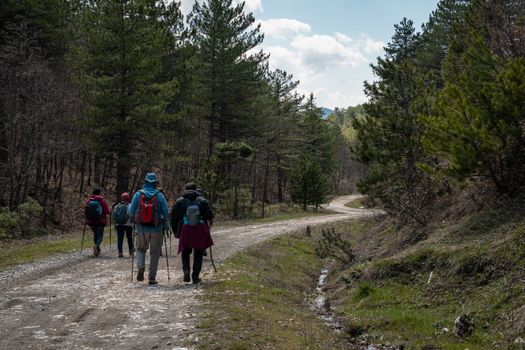 A group of hikers walking through a scenic forest path during springtime.
