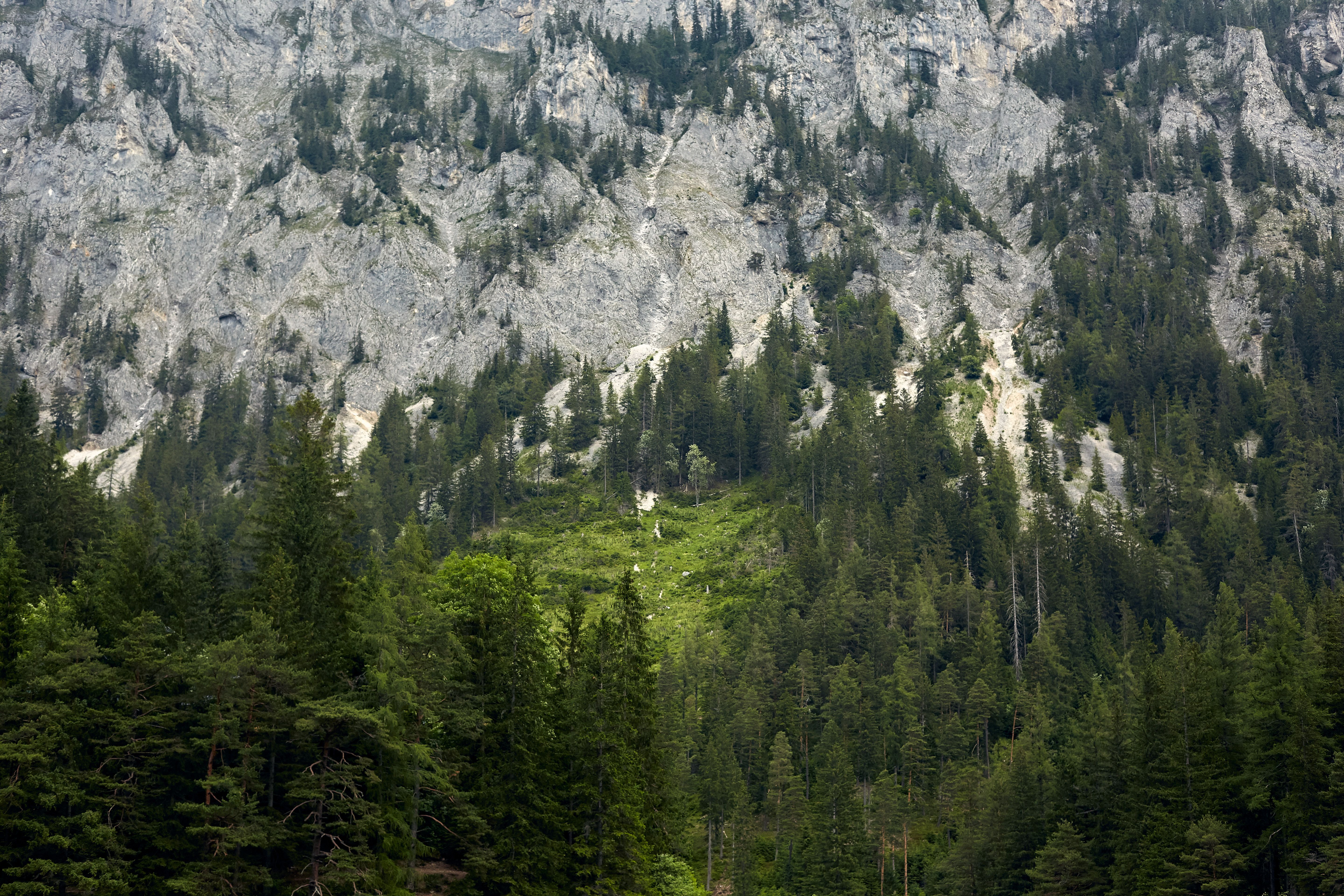 Majestic Alpine Mountainscape in Styria, Austria · Free Stock Photo