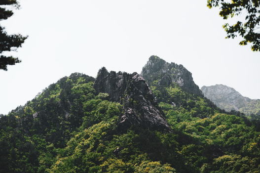 A lush green mountain adorned with dense foliage beneath a bright sky.