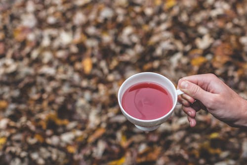 Free Selective Focus of Person Holding White Teacup Stock Photo