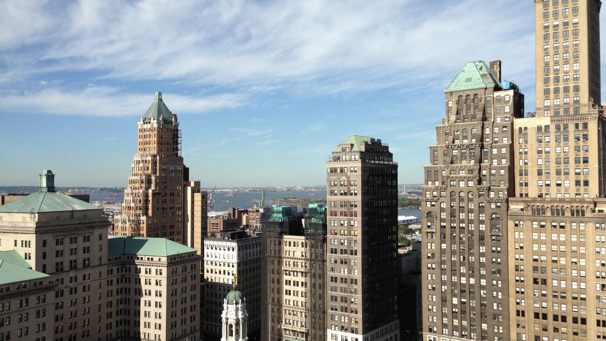 How to Enter Pet Product Giveaways in New York, New York Without Scams
