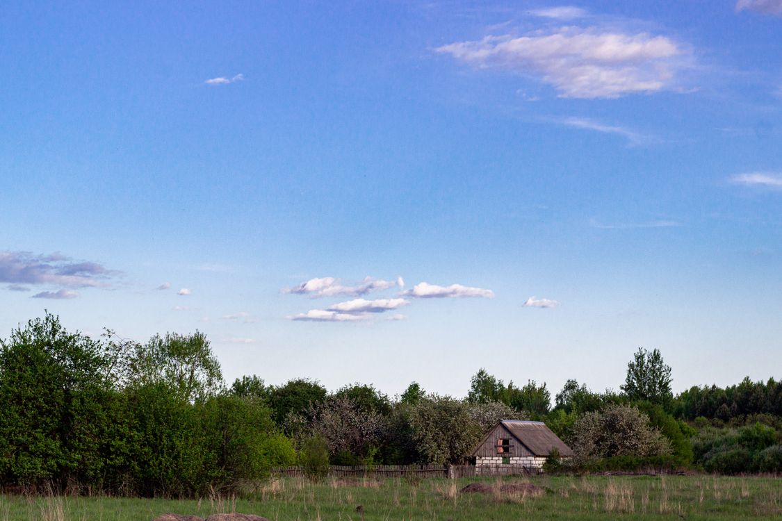 Tranquil Rural Landscape with Rustic Cabin · Free Stock Photo