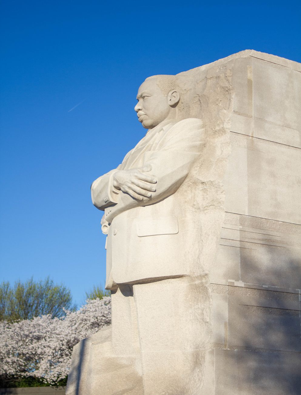 Martin Luther King Jr.: 63 anos de um sonho