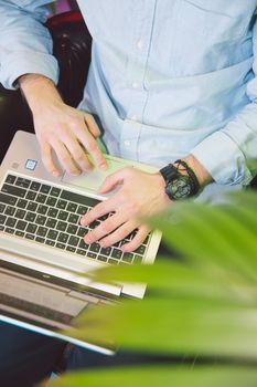 A man using his laptop surrounded by greenery, signifying a modern workspace.