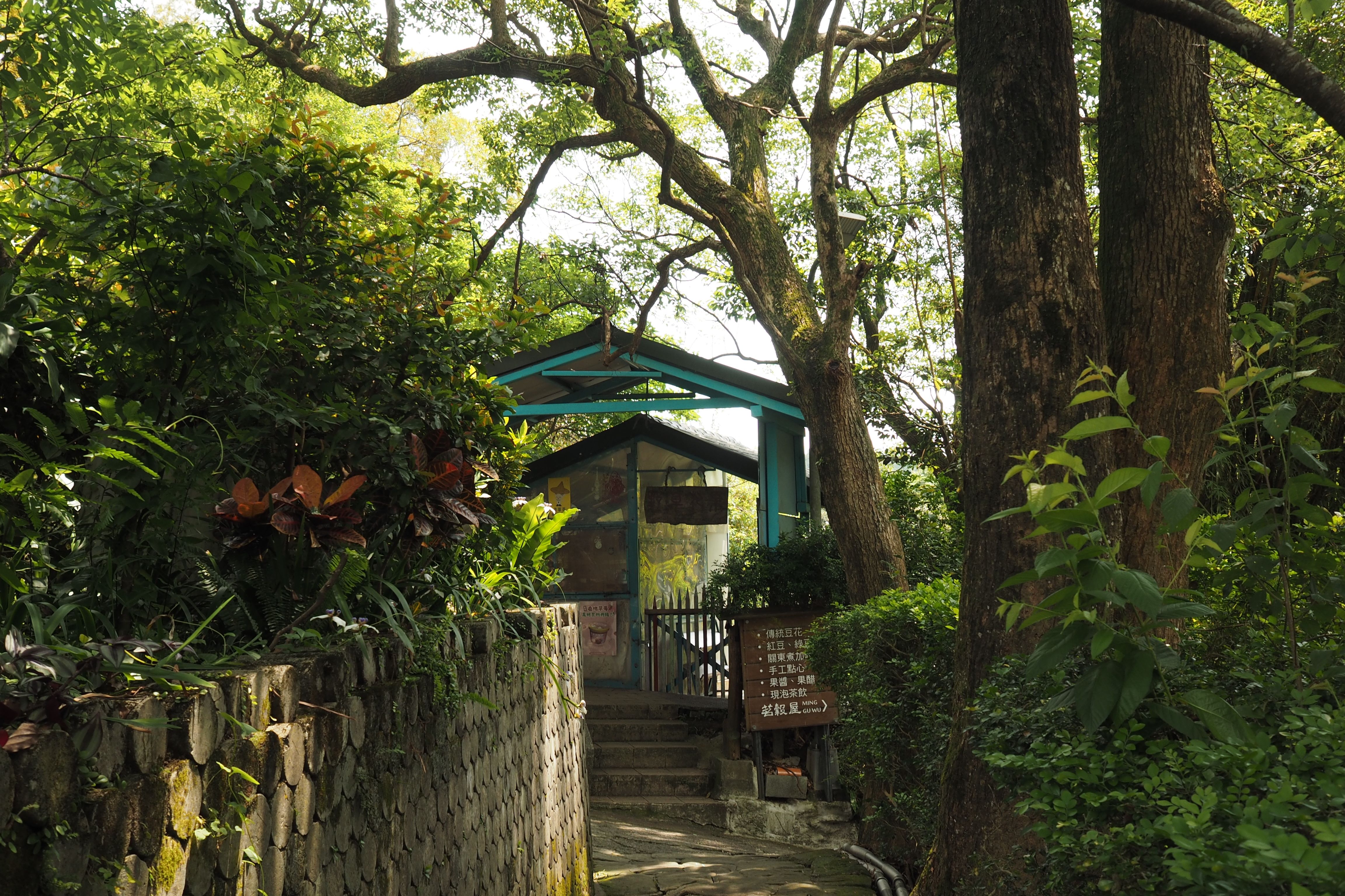 Domek na Drzewie w Anping