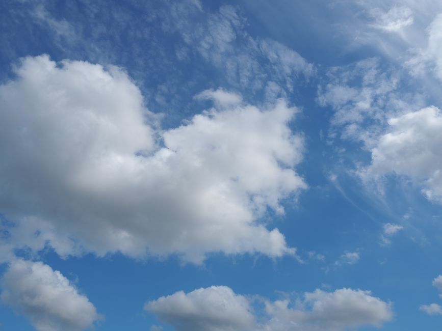 Mobile Computings Cloudy Forecast Mobile Computings Cloudy Forecast