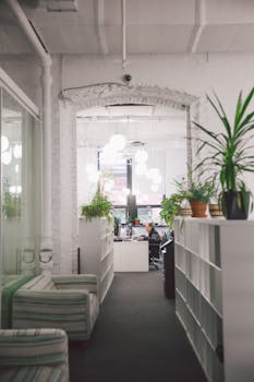 明亮的当代办公空间，配有植物、架子和独特的照明设计