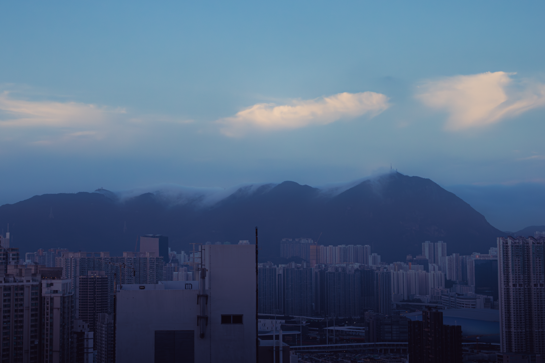 A twilight Hong Kong racetrack with horses entering the starting gate