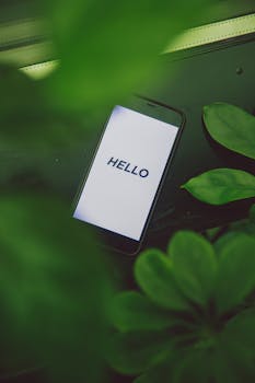 郁郁葱葱的绿叶环绕中，智能手机屏幕上显示着“你好”