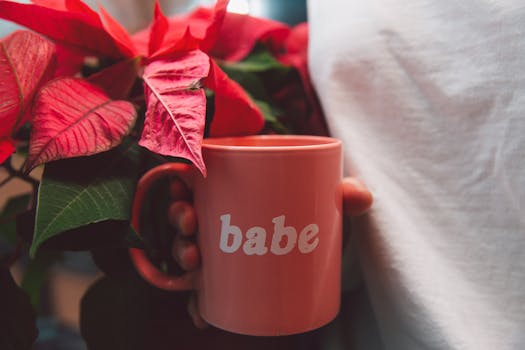 一只手拿着粉色“宝贝”杯的特写，旁边是充满活力的一品红花