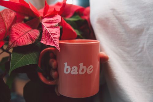 Free A close-up of a hand holding a pink mug labeled 'babe' next to vibrant poinsettia flowers. Stock Photo