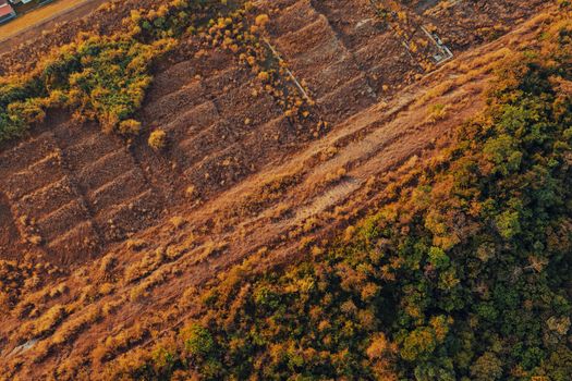 Aerial view of a dry landscape contrasted with lush green forest in Panama, showcasing autumn tones.