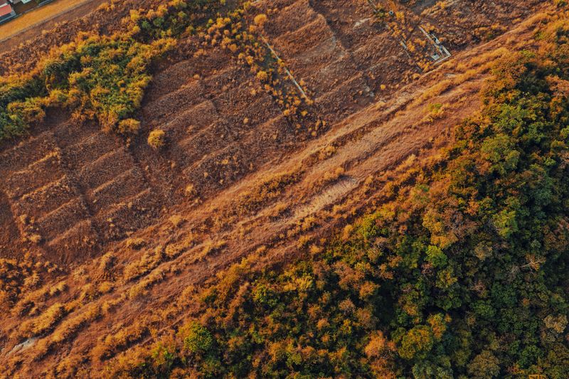 Aerial view of a dry landscape contrasted with lush green forest in Panama