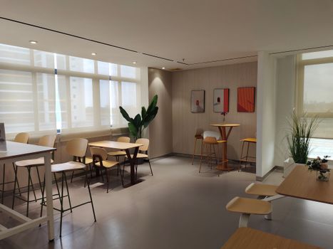 A well-lit, minimalist office interior featuring modern furniture and natural decor elements in China.