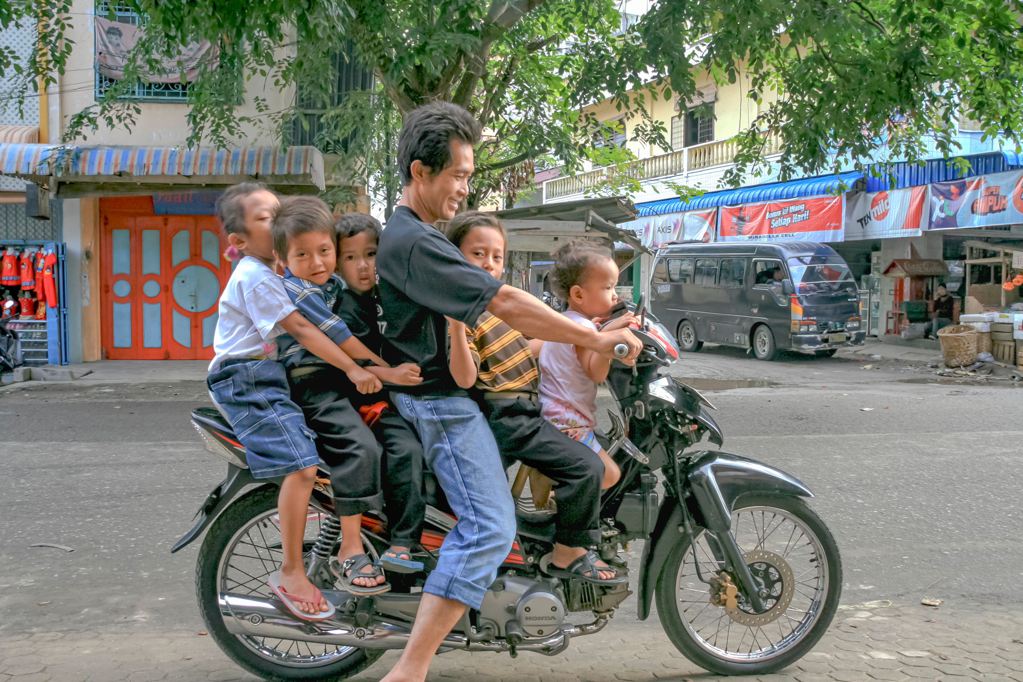 Multiple family vehicles