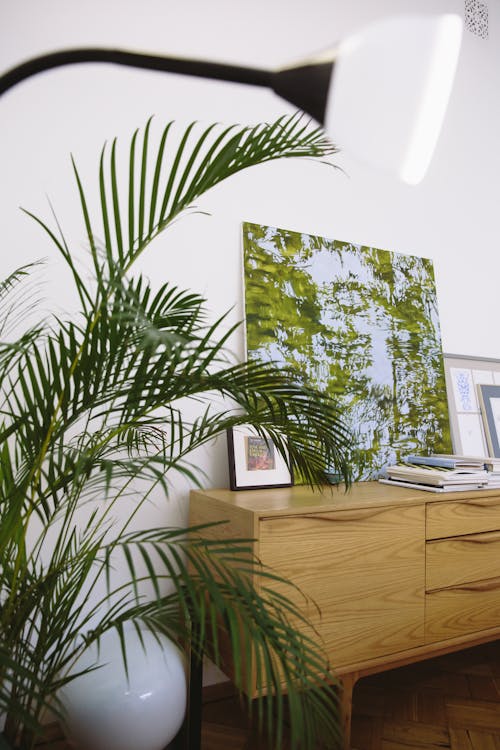 Green Plant Beside Wooden Cabinet