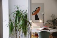 Green Plant Beside White Table