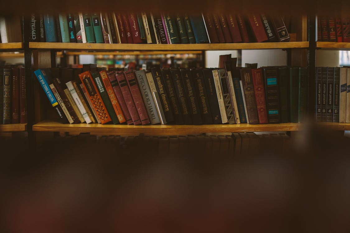 Free Photo Of Books On Brown Shelves Stock Photo
