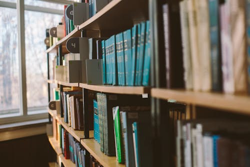 Photo Of Books On Bookshelves